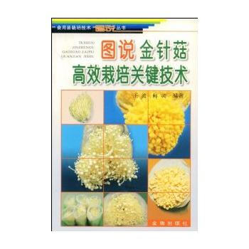 图说金针菇高效栽培关键技术 畅销书籍 种植业 正版 王波