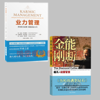正版 能断金刚：《当和尚遇到钻石》十周年增订版+业力管理（新版）：《能断金刚》续篇【共2册 pdf epub mobi 下载