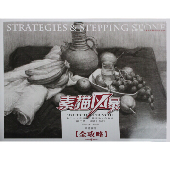 素描风暴-素描静物·全功略 素描静物临摹 静物素描书 铅笔绘画入门教材 pdf epub mobi 下载