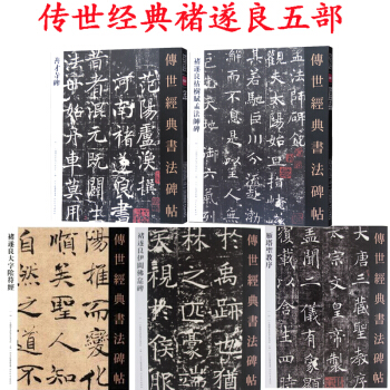 褚遂良字帖書法 雁塔聖教序+褚遂良大字陰符經+伊闕佛龕碑+枯樹賦孟法師碑+善纔寺碑套裝5冊 pdf epub mobi 下载