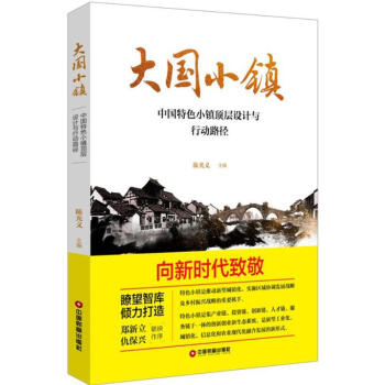 大国小镇 pdf epub mobi 下载
