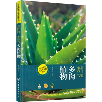 正版现货2K 9787122269980 我家的植物空气净化器系列--易种植,净空气——多肉植物