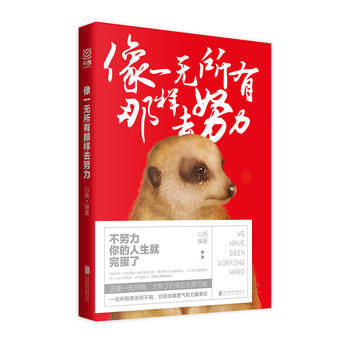 像一無所有那樣去努力 pdf epub mobi 下载