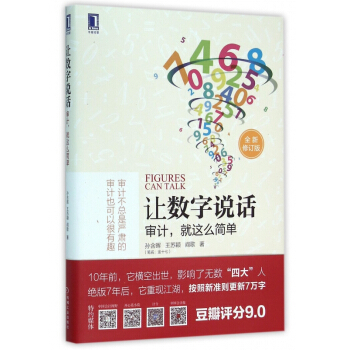 让数字说话(审计就这么简单全新修订版)