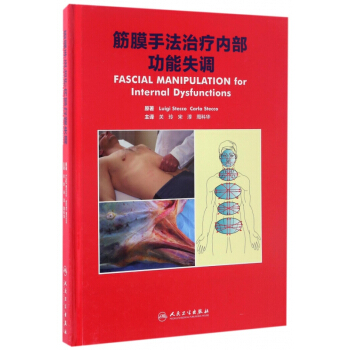 筋膜手法治疗内部功能失调(精) pdf epub mobi 电子书 下载