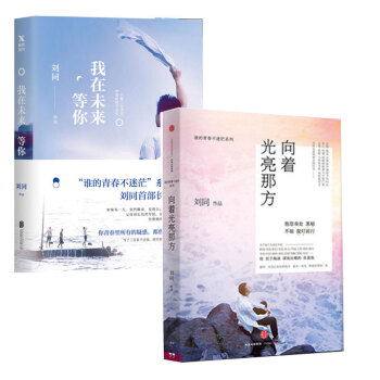 向着光亮那方+我在未来等你 pdf epub mobi 下载