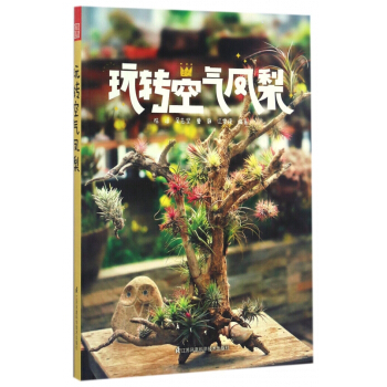 玩转空气凤梨 pdf epub mobi 下载