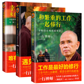 和繁重的工作一起修行+幸福来自**的信任+与自己和解 全3册 佛教书籍 佛陀传作者一行禅师 pdf epub mobi 下载