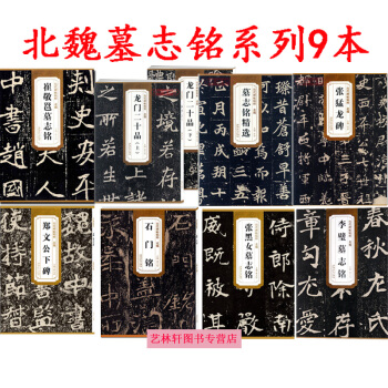 北魏墓誌銘碑帖 李璧墓誌銘+龍門二十品+張猛龍碑+墓誌銘精選+張黑女字帖 書法共9本 pdf epub mobi 下载