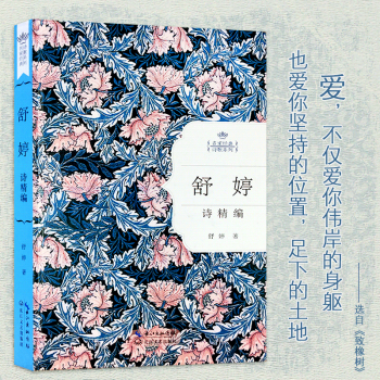名家经典诗歌系列:舒婷诗精编 致橡树/致大海 朦胧诗集 中国现当代诗歌文集
