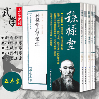 正版 孙禄堂武学集注 中华武术教程书 武术气功书籍 拳意述真八卦剑太极拳八卦拳形意拳体育