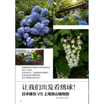 花園MOOK·綉球號 pdf epub mobi 下载