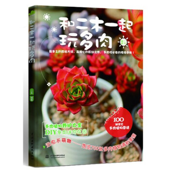 和二木一起玩多肉 傢居 書籍 pdf epub mobi 下载