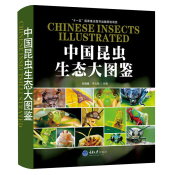 中国昆虫生态大图鉴 科普读物 书籍 pdf epub mobi 下载