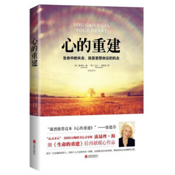 心的重建 pdf epub mobi 下载