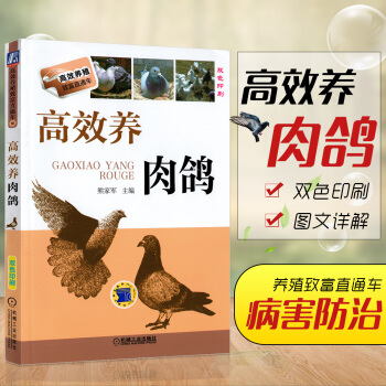 高效养肉鸽养鸽子书籍鸽子养殖技术书大全鸽子预防各种疾病书籍科学饲养鸽子的书肉鸽养殖书籍大全 pdf epub mobi 电子书 下载