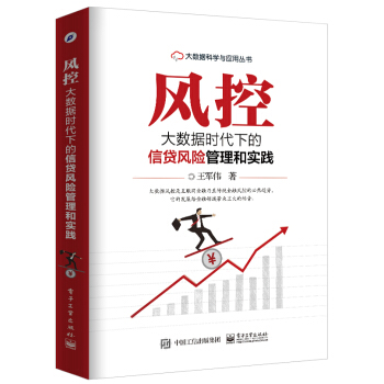 風控:大數據時代下的信貸風險管理和實踐 金融與投資 書籍