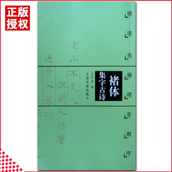 正版褚遂良雁塔圣教序褚体集字古诗楷书法帖书法作品集毛笔字帖简体旁注米字格褚遂 pdf epub mobi 下载