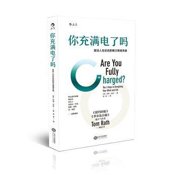 你充满电了吗？ pdf epub mobi 下载