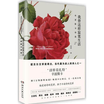 正版 我曾这样寂寞生活(辛波斯卡诗选) 诺贝尔文学奖获奖诗人辛波斯卡 诗界莫扎特 现当代文 pdf epub mobi 下载