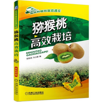 獼猴桃高效栽培 鬱俊誼 奇異果/獼猴桃栽培 果樹 水果種植方法獼猴桃栽培技術大全書籍
