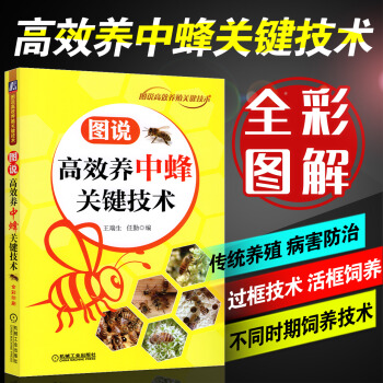 高效養中蜂關鍵技術土蜜蜂養殖技術書籍中蜂高效養殖技術大全實用養蜂技術養中華蜂大全書籍養蜂書