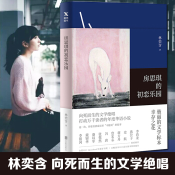 房思琪的初恋乐园 林奕含文学作品 情感小说 自杀绝笔 简体中文版 年度华语小说 pdf epub mobi 下载