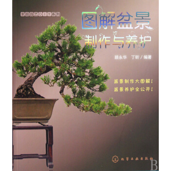图解盆景制作与养护/家庭园艺DIY系列 pdf epub mobi 下载