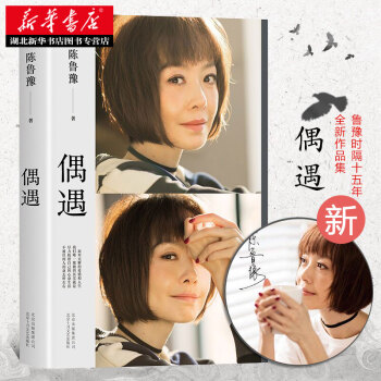 偶遇 （鲁豫时隔15年全新作品集） pdf epub mobi 下载