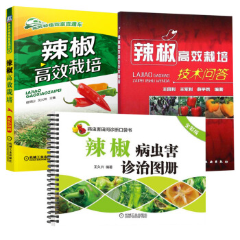 【全3冊】辣椒病蟲害診治圖冊(全彩版)+辣椒高效栽培技術問答+辣椒高效栽培種植技術大全教