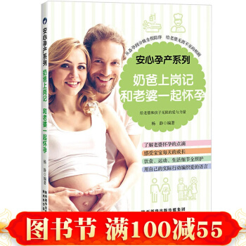 正版现货 奶爸上岗记，和老婆一起怀孕 pdf epub mobi 下载