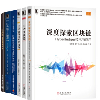 深度探索區塊鏈+白話區塊鏈+技術原理及底層架構+鏈核心算法+開發指南+項目開發指南 pdf epub mobi 下载