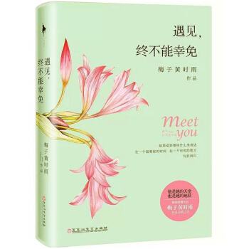 遇见终不能幸免 继张小娴 桐华后华语界言情天后梅子黄时雨全新力作
