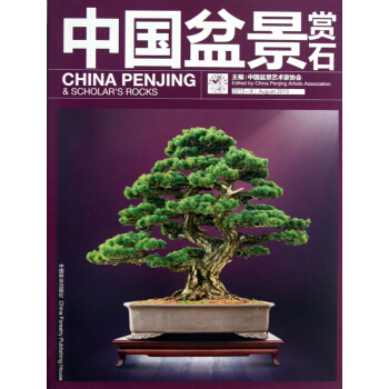 中国盆景赏石(2013-8) pdf epub mobi 下载