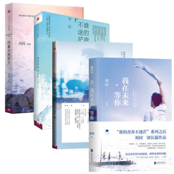 我在未来等你+谁的青春不迷茫+你的孤独虽败犹荣+向着光亮那方 刘同套装 全套4册 pdf epub mobi 下载