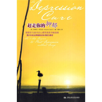 正版 趕走你的抑鬱 [美] 伊拉迪；鄢科 中國人民大學齣版社N pdf epub mobi 電子書 下載