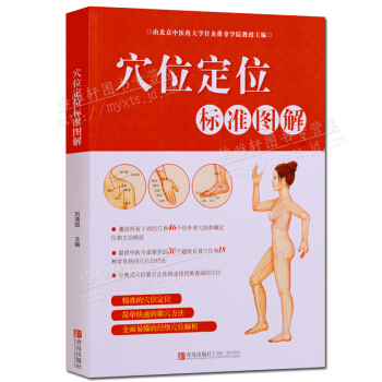 穴位定位标准图解 中医养生保健书籍 青岛出版社 pdf epub mobi 下载