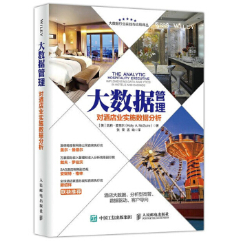 大数据管理 对酒店业实施数据分析 互联网 现代酒店企业经营财务会计管理书籍 pdf epub mobi 下载