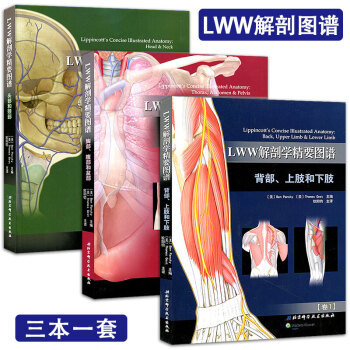 正版 LWW解剖学精要图谱卷一背部上肢和下肢+卷二胸部、腹部和骨盆+卷三头部和颈部