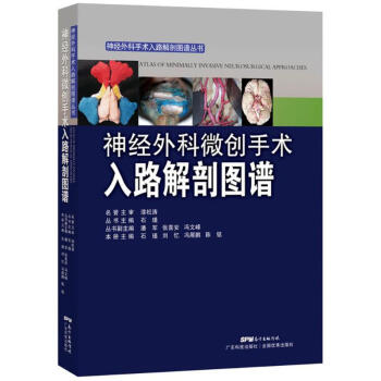 神經外科微創手術入路解剖圖譜