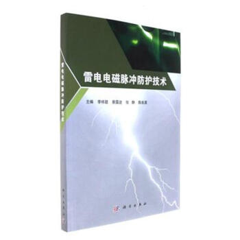 雷電電磁脈衝防護技術 pdf epub mobi 下载