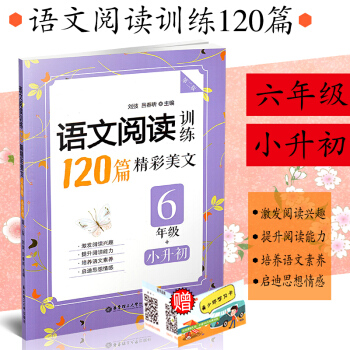 正版 小学语文阅读训练120篇精彩美文 六年级/6年级 第二版 小学生语文阅读兴趣培养课外 pdf epub mobi 电子书 下载