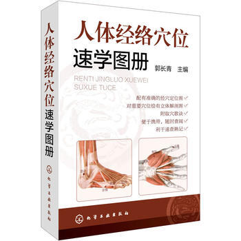 人体经络穴位速学图册 郭长青 中医养生书籍 人体穴位按摩全图解 筋络穴位速记手册 常见病