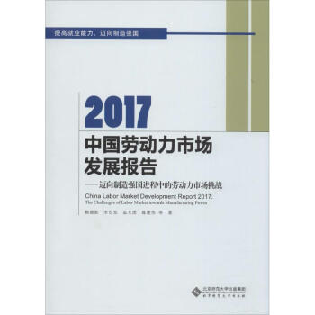 2017中國勞動力市場發展報告 pdf epub mobi 下载