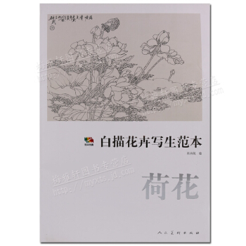 荷花 白描花卉寫生範本 人民美術齣版社 pdf epub mobi 下载