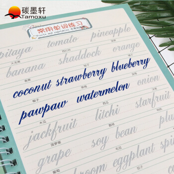 碳墨轩（tamoxu）英语字帖成人花体英文钢笔凹槽临摹练字帖2本装 pdf epub mobi 下载