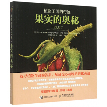 果实的奥秘(植物王国的奇迹) pdf epub mobi 下载