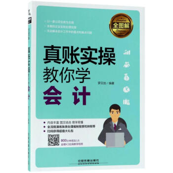 全图解!真账实操教你学会计 pdf epub mobi 下载