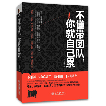 不懂带团队你就自己累 团队管理的书籍 公司私营企业管理类书籍团队建设与人员管理马云华为销售 pdf epub mobi 下载
