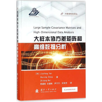 大样本协方差矩阵及高维数据分析 pdf epub mobi 下载